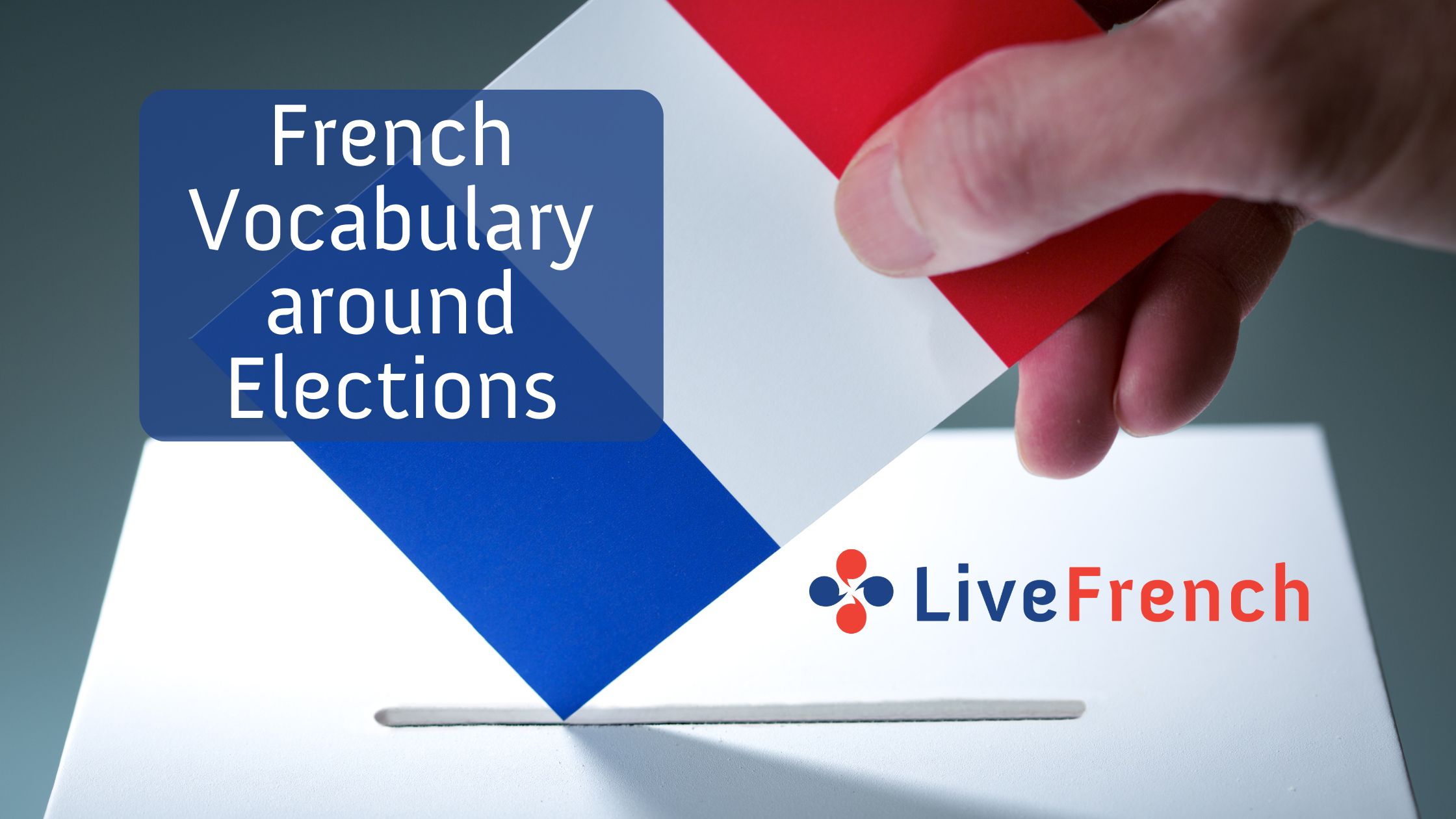 French Vocabulary around Elections