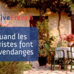 French listening exercise: Quand les touristes font les vendanges