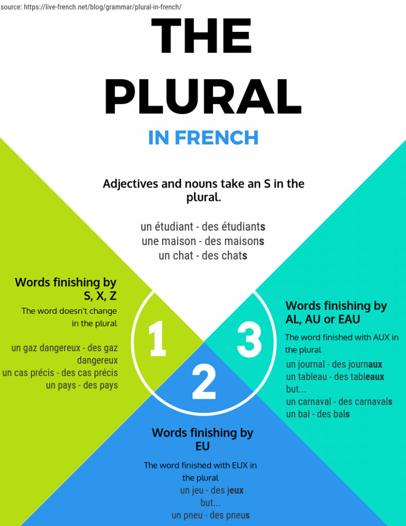 is homework plural in french