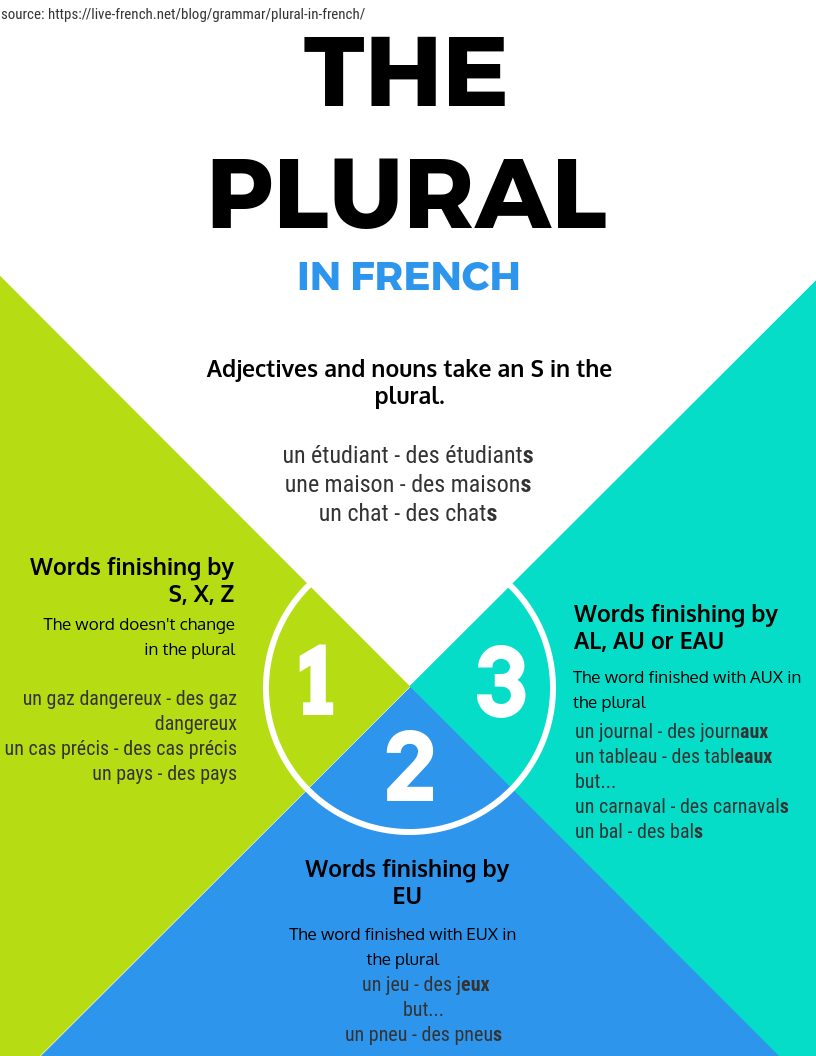 What Is Plural In French