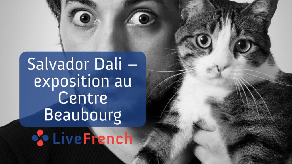 Salvador Dali – exposition au Centre Beaubourg