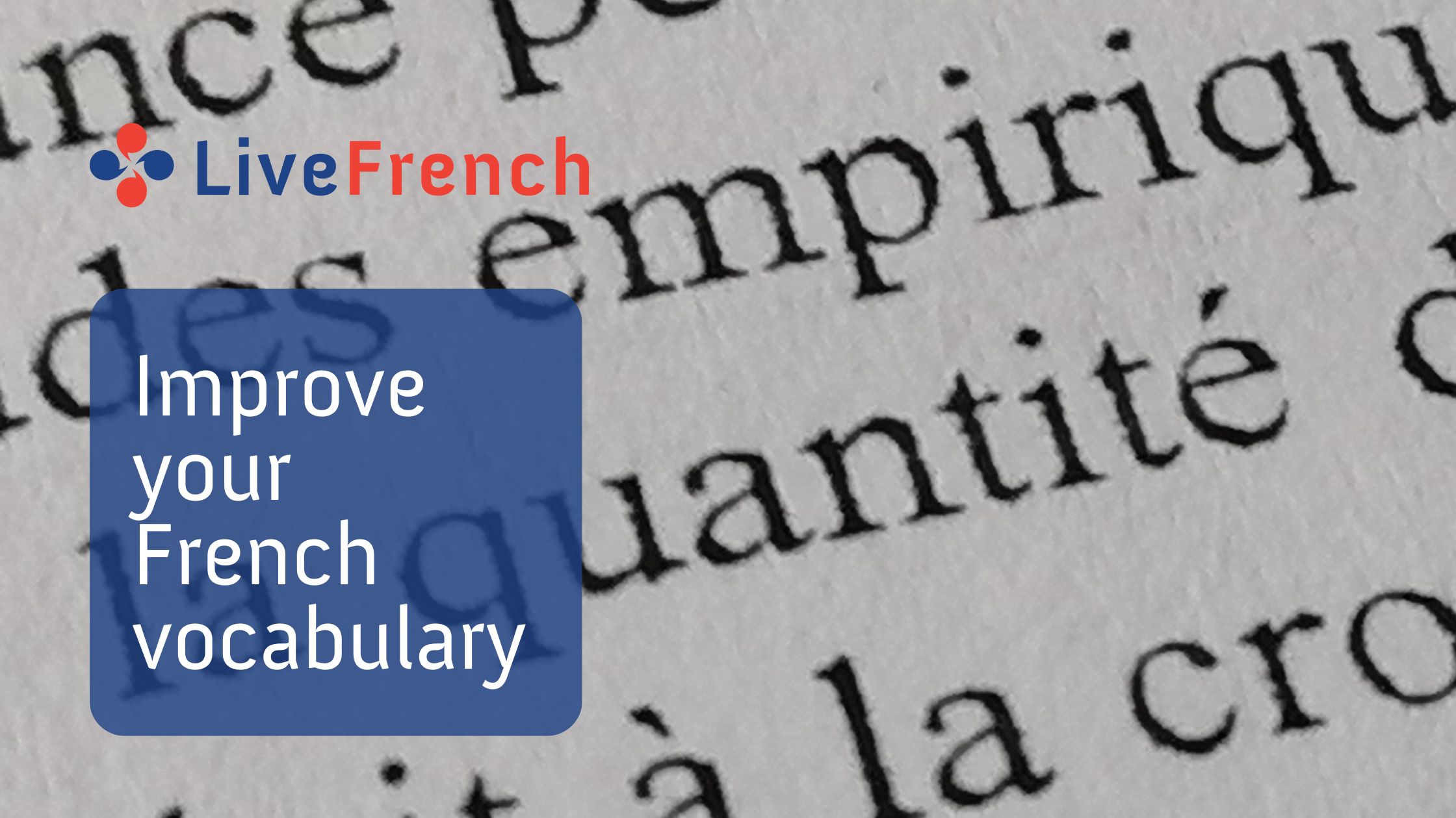 5 Strategies to Improve your French Vocabulary