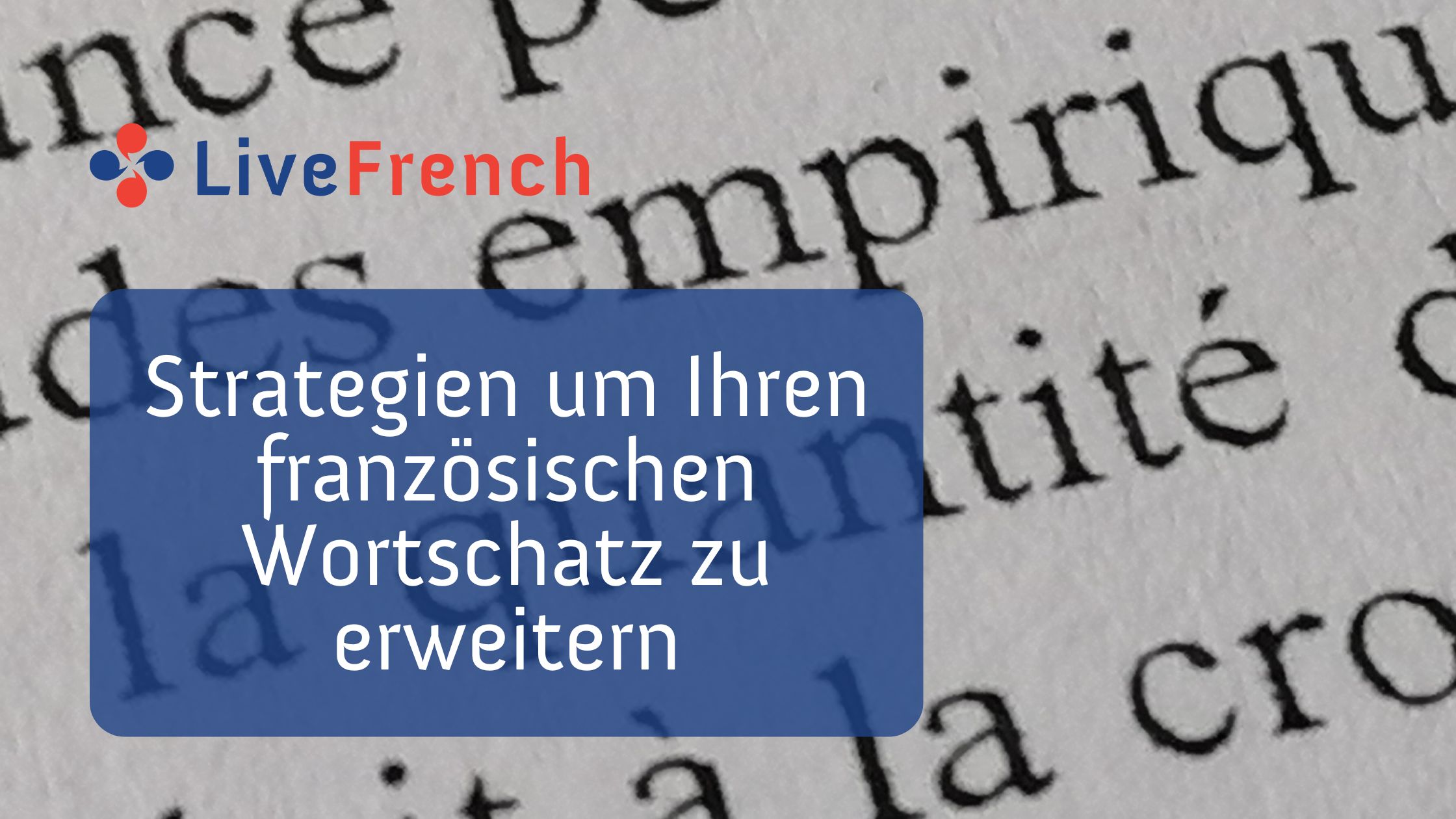 Fünf Strategien um Ihren französischen Wortschatz zu erweitern