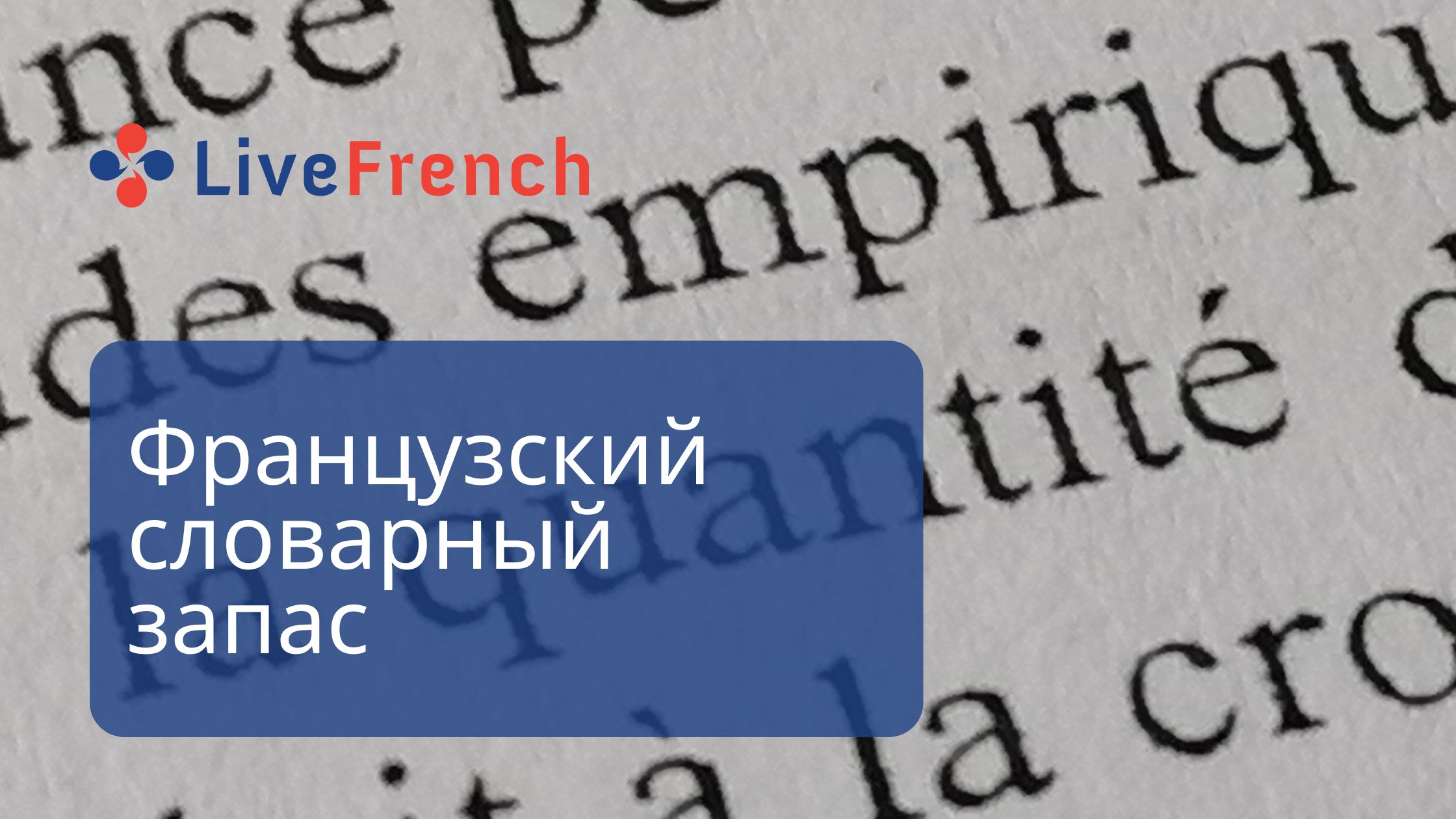 5 методов увеличения французского словарного запаса